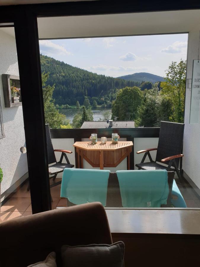 Ferienwohnung Zeitlos, Gigantischer Seeblick, Wlan, Gerne Mit Hund Winterberg Eksteriør bilde